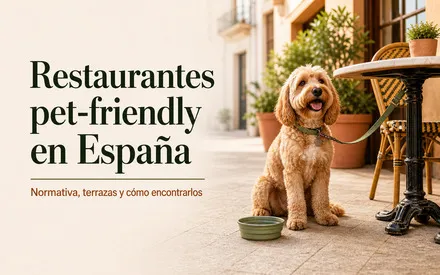 Imagen de Restaurantes y terrazas petfriendly en España: qué dice la ley y cómo encontrarlos
