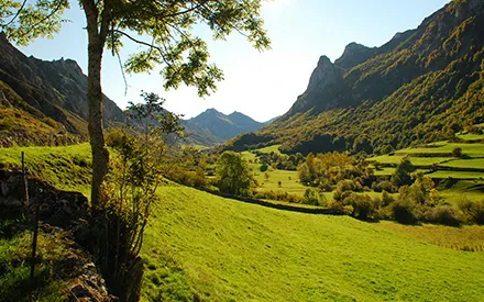 Imagen de Aventuras de senderismo con tu perro: Descubre las mejores rutas en el Principado de Asturias