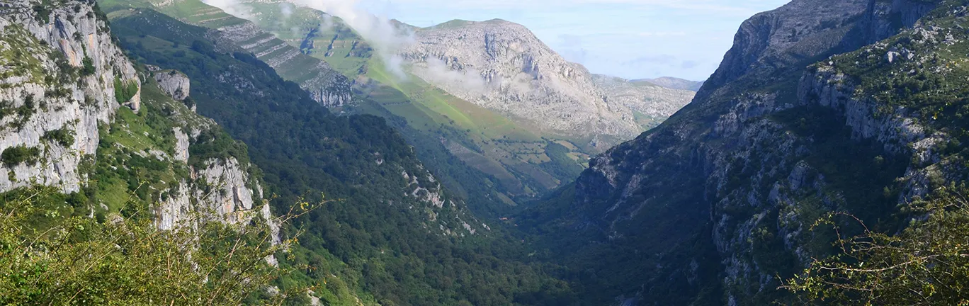 Imagen de Senderismo con tu perro: Descubre las mejores rutas de Cantabria