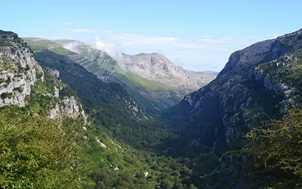 Imagen de Senderismo con tu perro: Descubre las mejores rutas de Cantabria