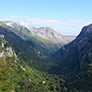 Imagen de Senderismo con tu perro: Descubre las mejores rutas de Cantabria