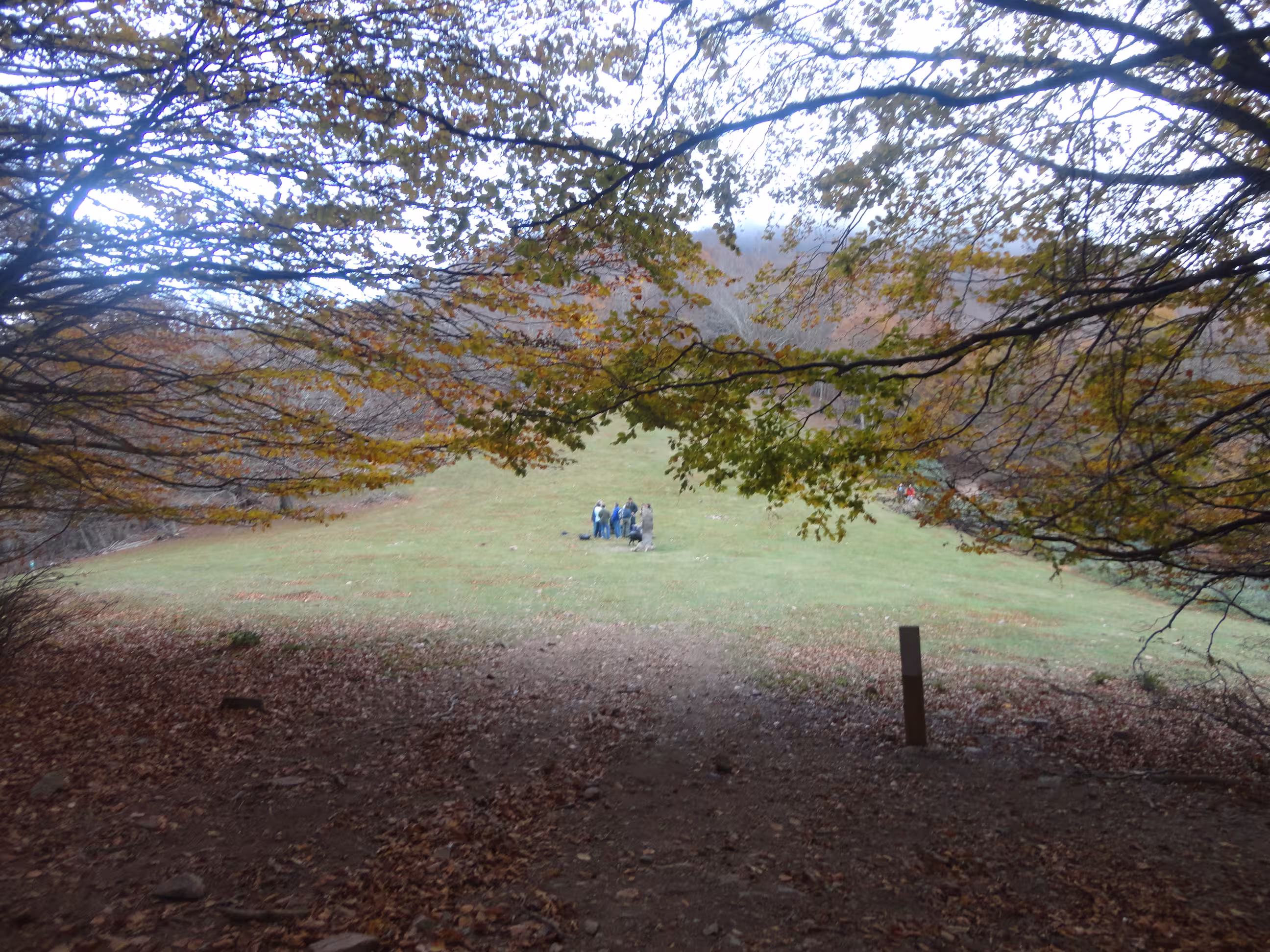 Coll Pregon, en la zona de cumbres del macizo del Montseny