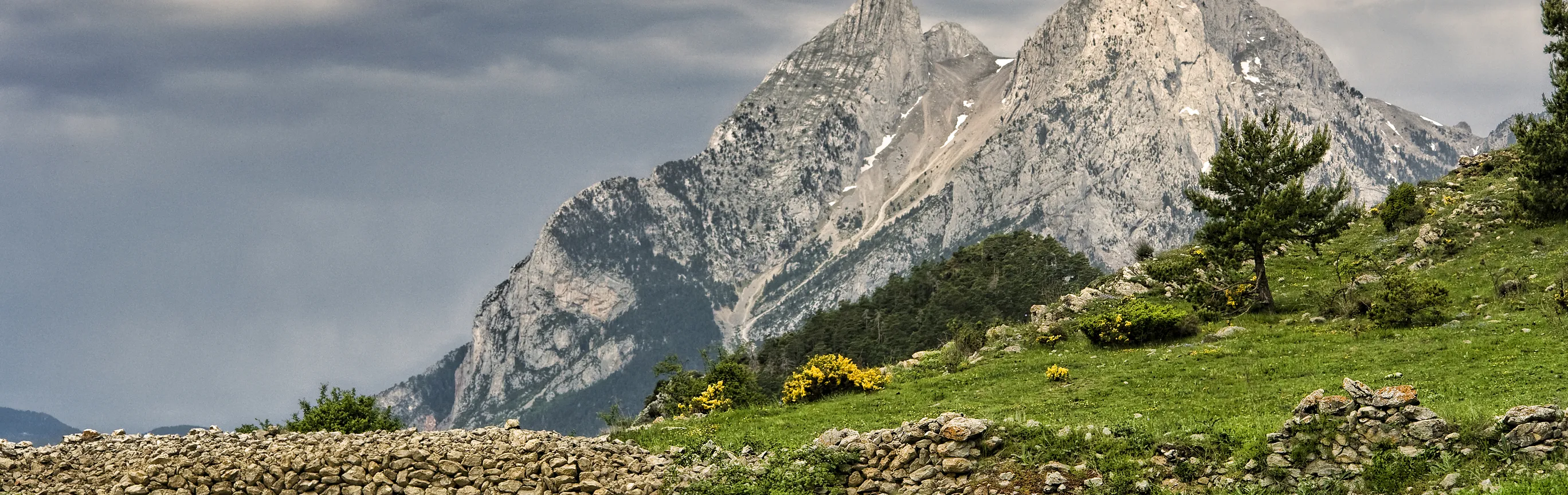 Imagen de Rutas de senderismo con perro en Cataluña: Montseny, Pirineo y volcanes