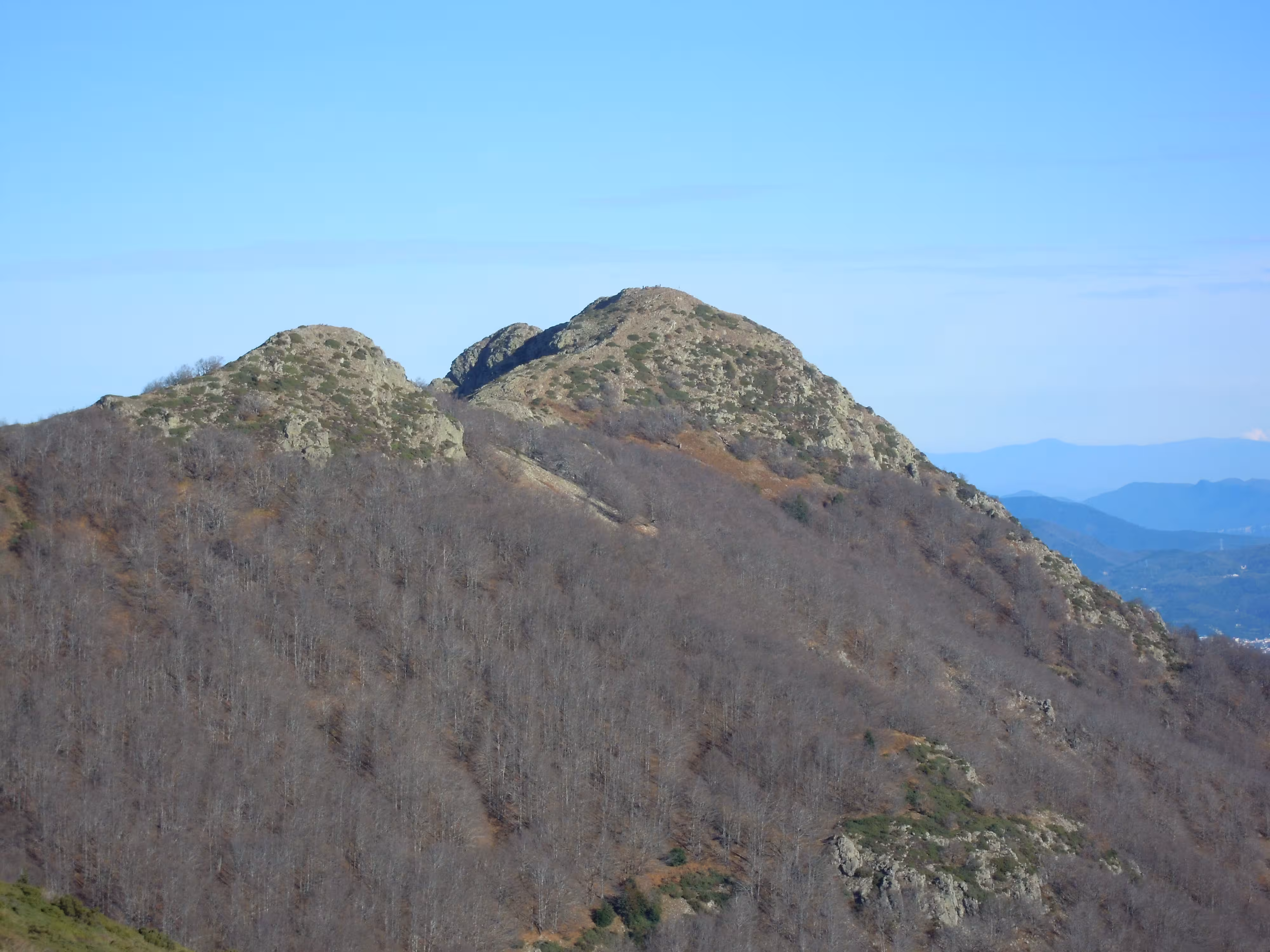 El hayedo de Santa Fe del Montseny en otoño