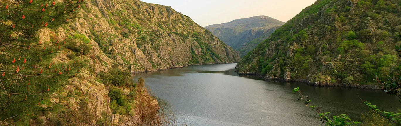 Imagen de Senderismo con tu perro: Descubre las rutas más bonitas de Galicia