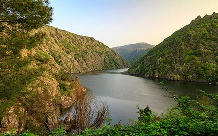 Imagen de Senderismo con tu perro: Descubre las rutas más bonitas de Galicia