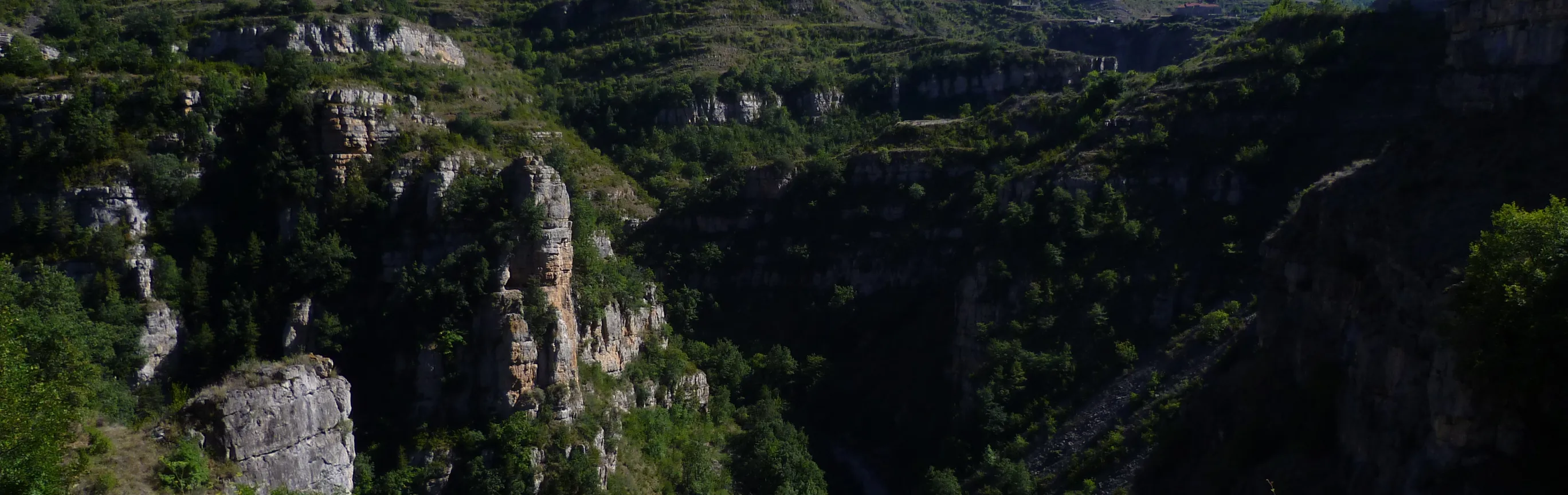 Imagen de Rutas de senderismo con perro en La Rioja: Cebollera, cañones y vías verdes