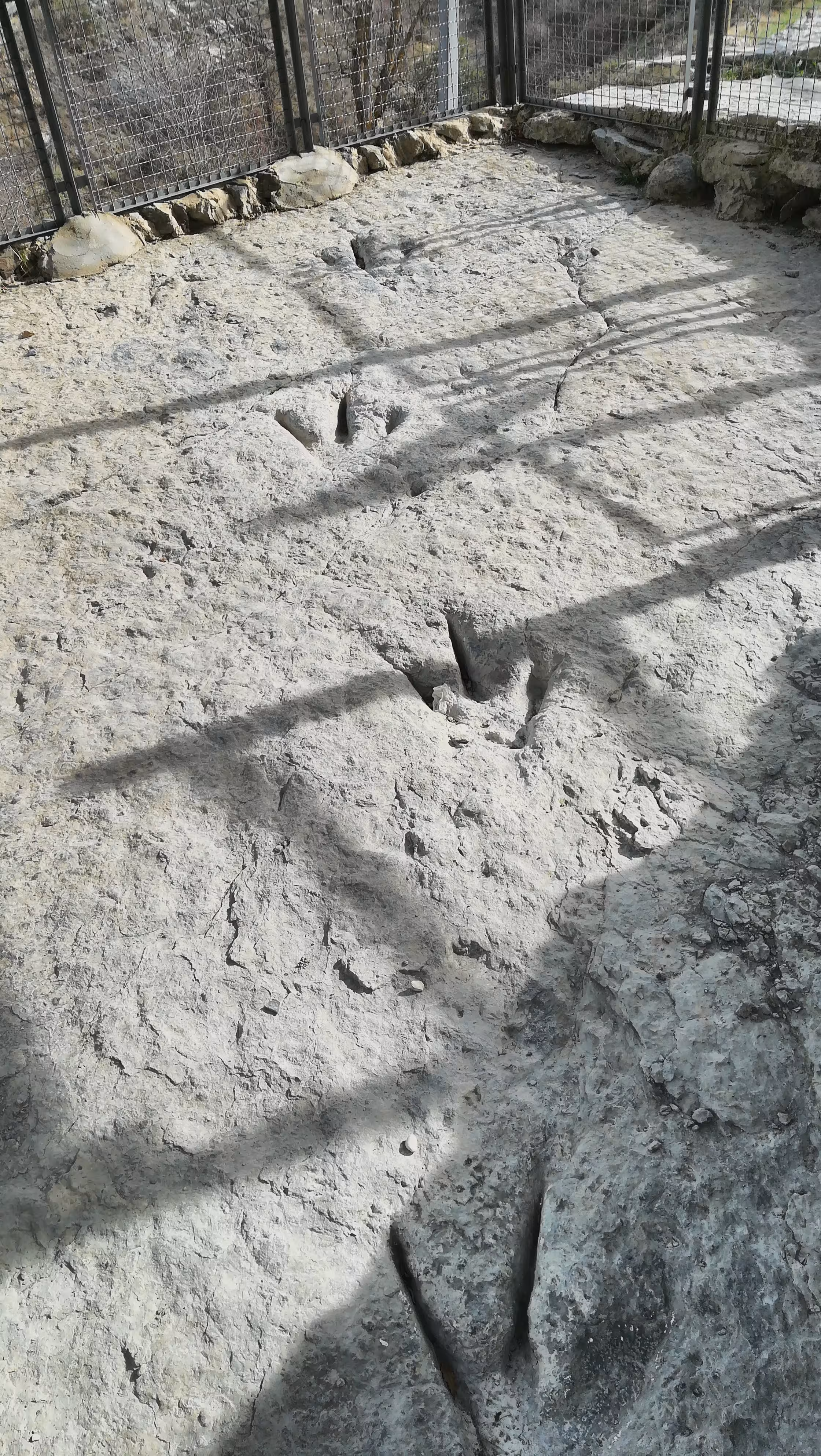 Icnitas de dinosaurio en La Rioja