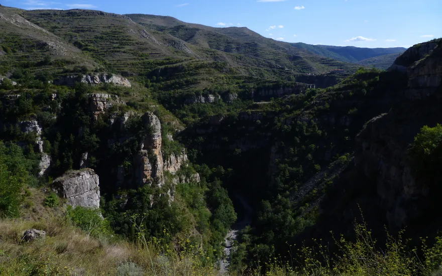 Imagen de Rutas de senderismo con perro en La Rioja: Cebollera, cañones y vías verdes