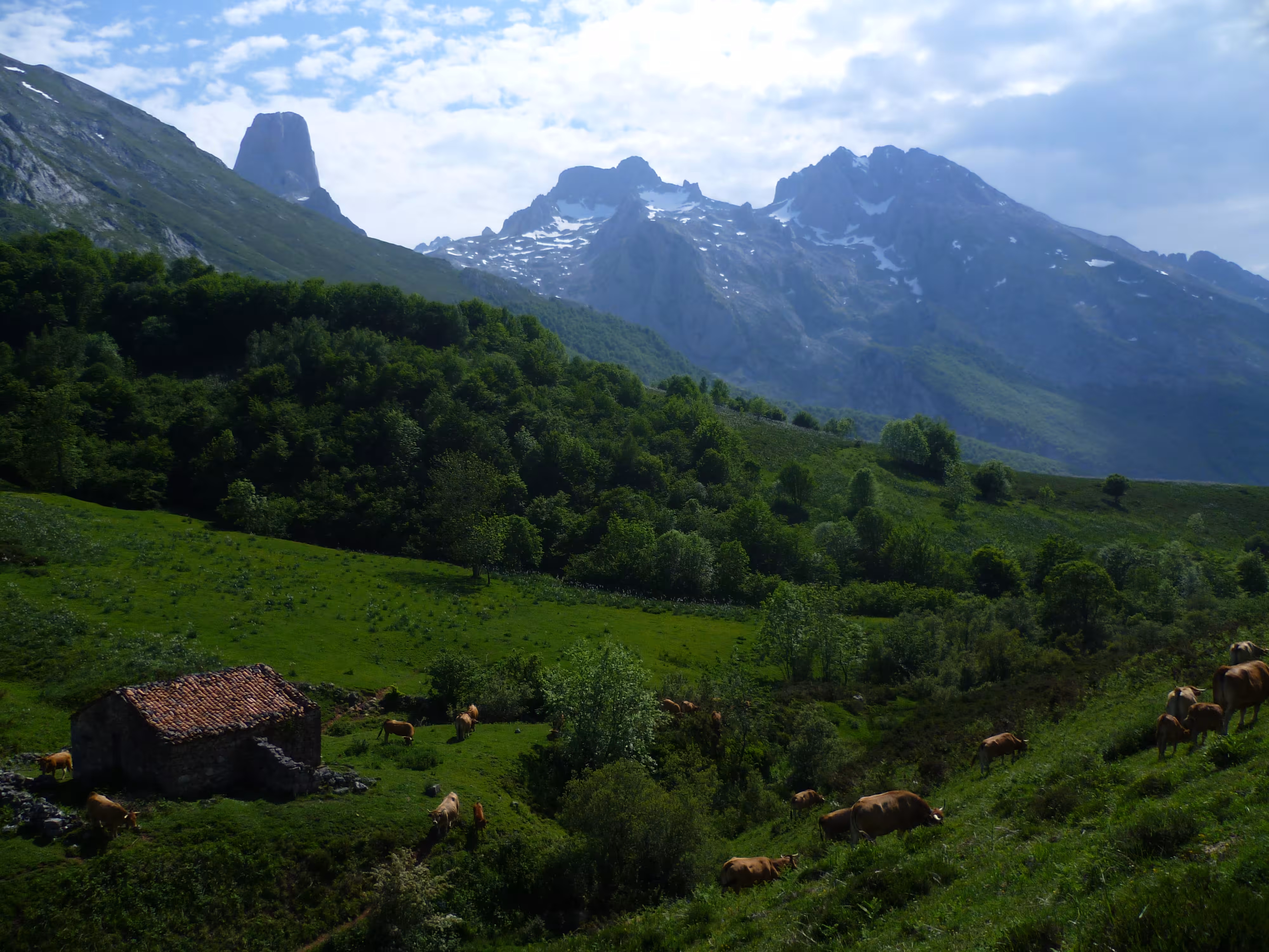 Vista del macizo central de los Picos de Europa