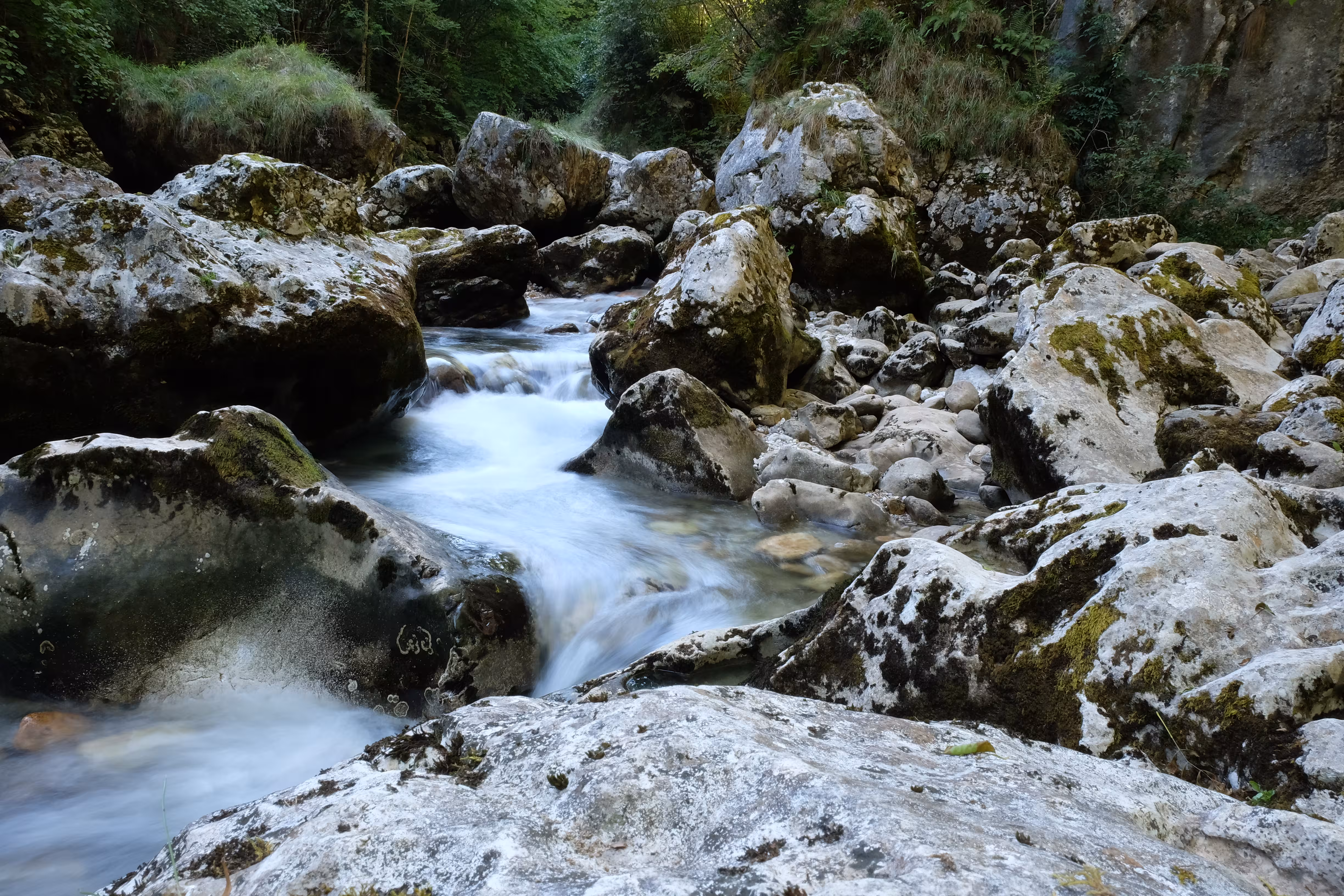 Río en el entorno de Cabrales