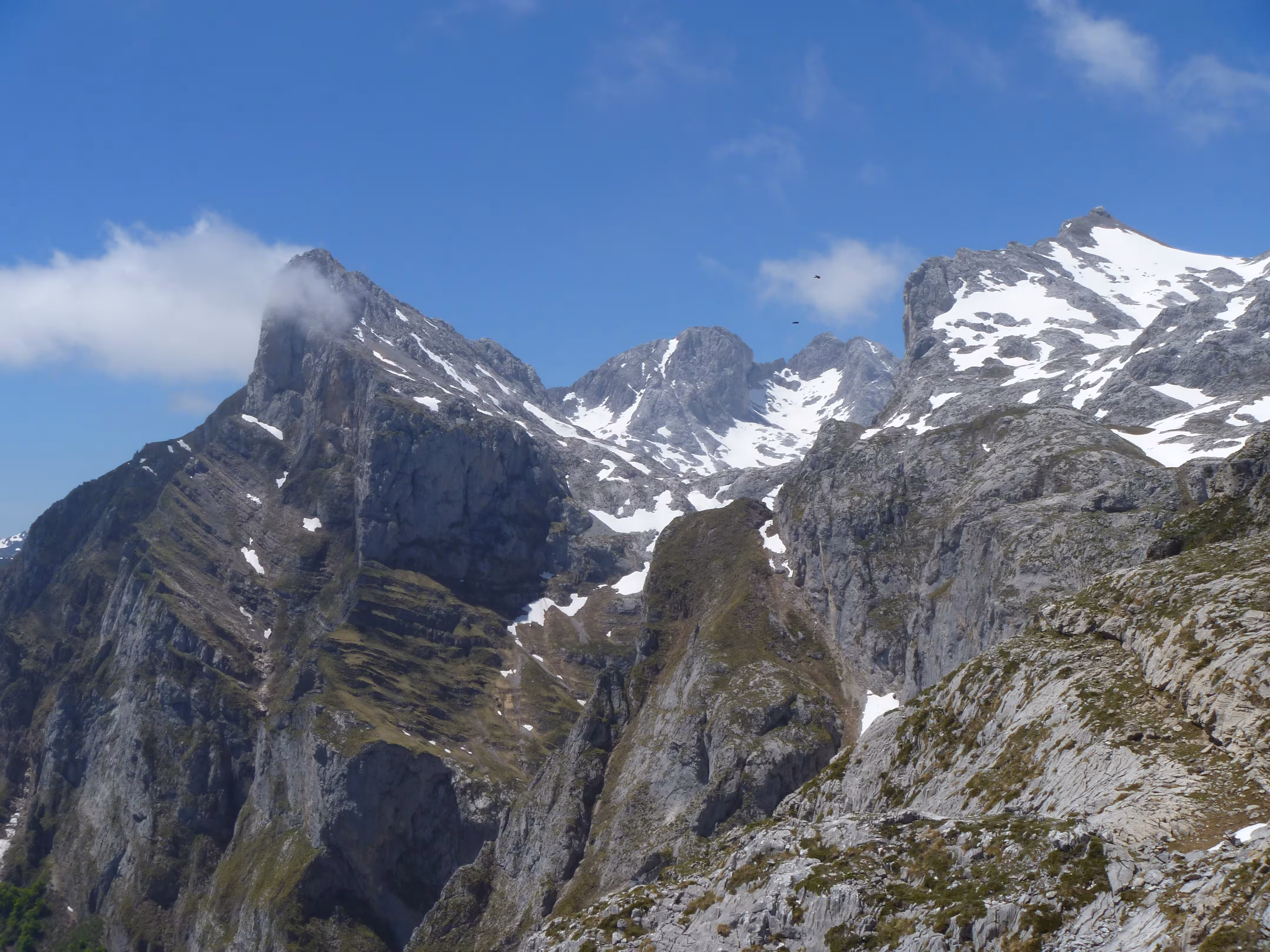 Praderías de alta montaña en Picos de Europa