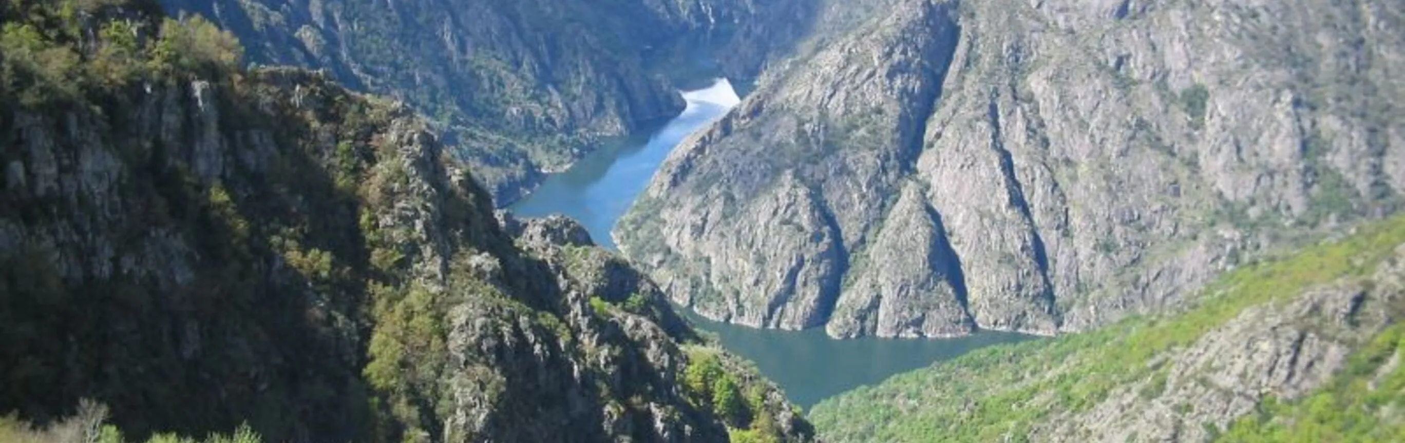 Imagen de Rutas de senderismo con perro en la Ribeira Sacra: cañones, soutos y pasarelas