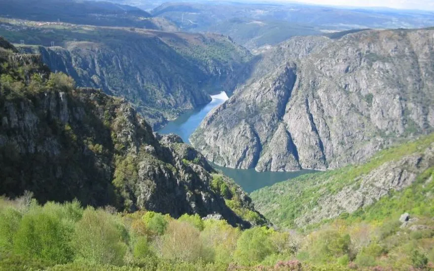 Imagen de Rutas de senderismo con perro en la Ribeira Sacra: cañones, soutos y pasarelas