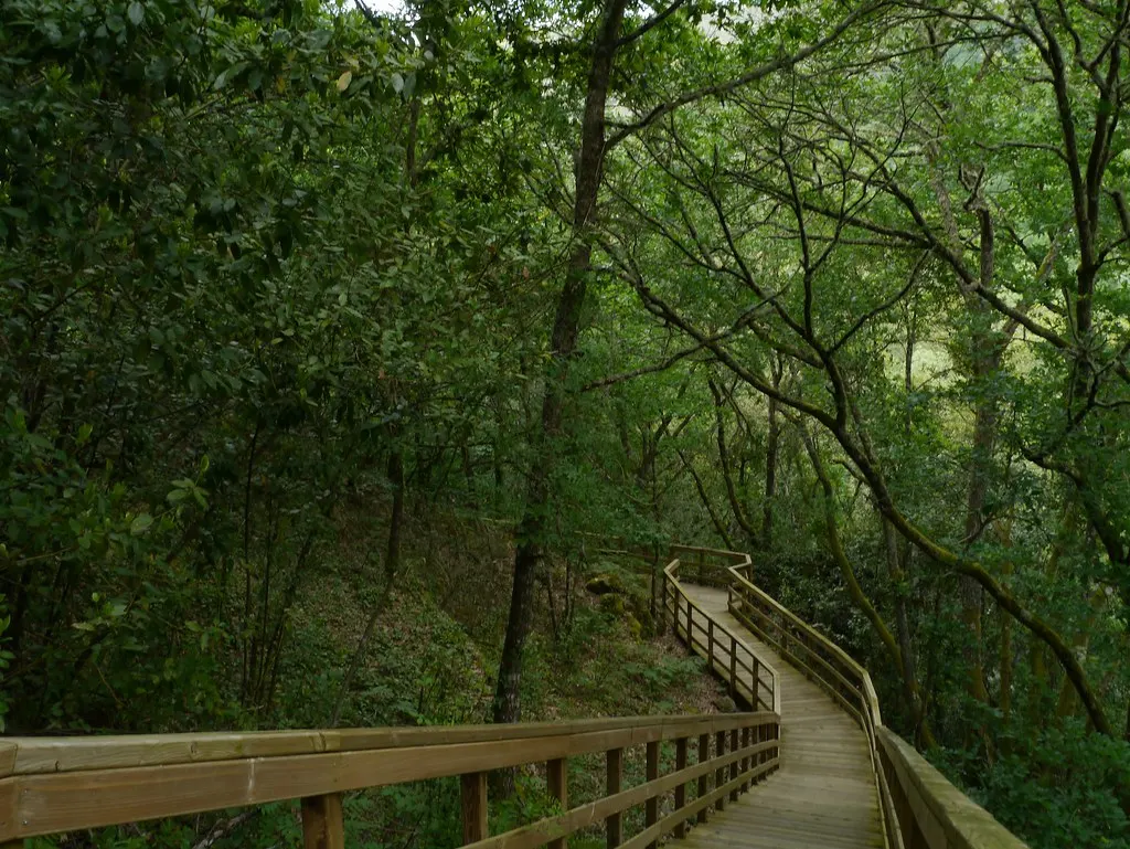 Pasarelas de madera sobre el cañón del río Mao