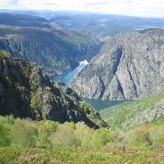 Imagen de Rutas de senderismo con perro en la Ribeira Sacra: cañones, soutos y pasarelas