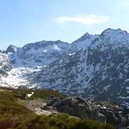Imagen de Rutas de senderismo con perro en la Sierra de Gredos: guía completa