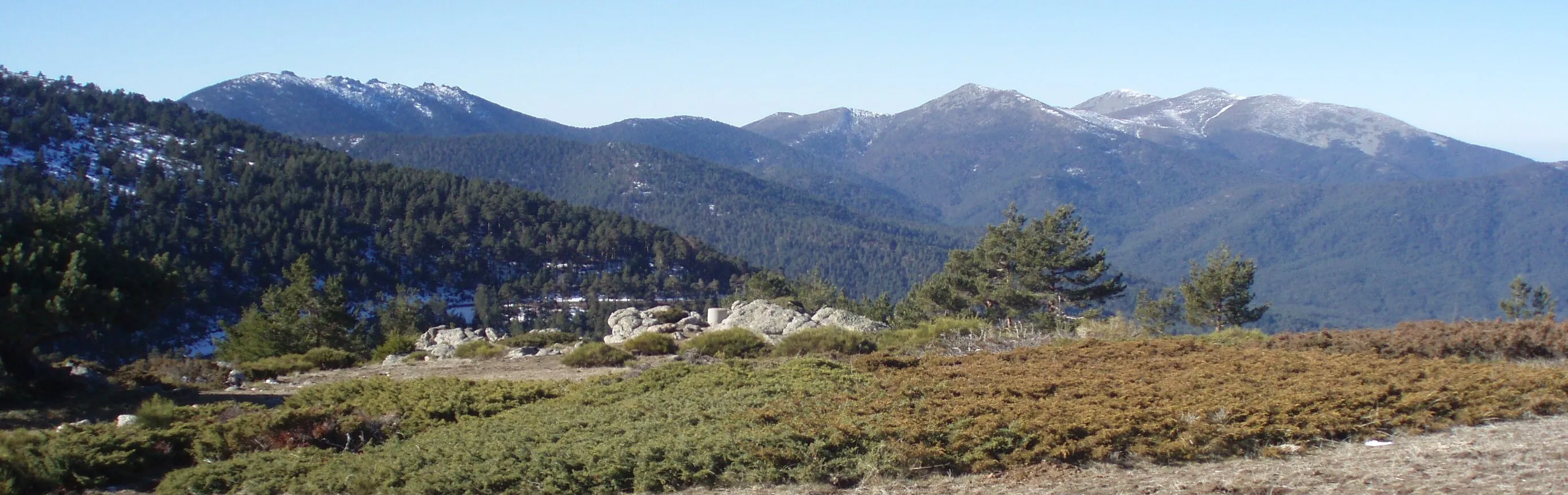 Imagen de Rutas de senderismo con perro en la Sierra de Guadarrama: guía completa