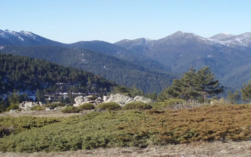 Imagen de Rutas de senderismo con perro en la Sierra de Guadarrama: guía completa
