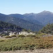 Imagen de Rutas de senderismo con perro en la Sierra de Guadarrama: guía completa