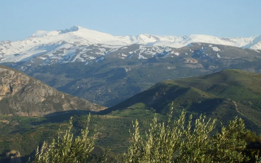 Imagen de Rutas de senderismo con perro en Sierra Nevada: guía completa