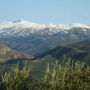 Imagen de Rutas de senderismo con perro en Sierra Nevada: guía completa