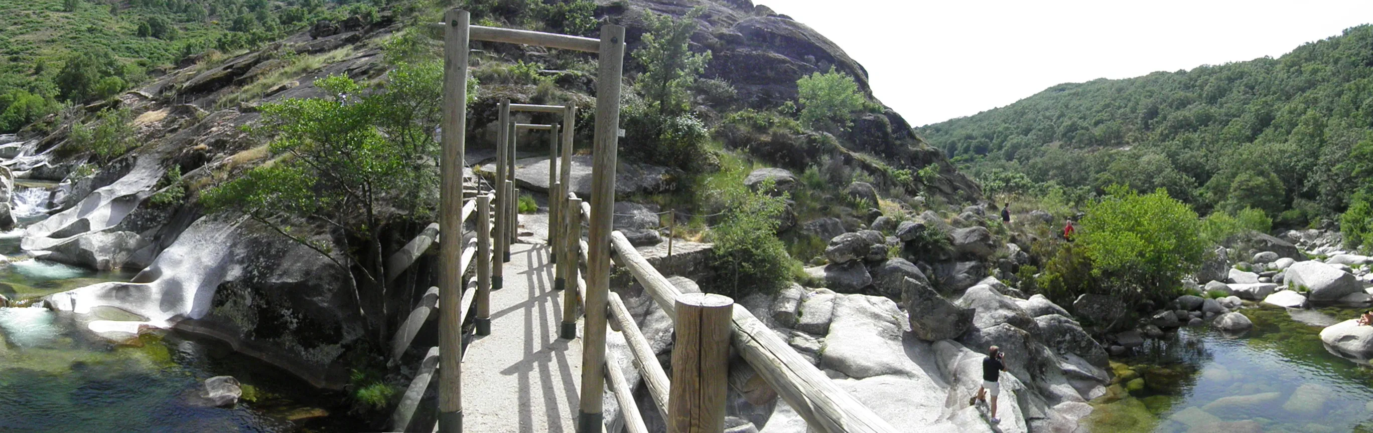 Imagen de Rutas de senderismo con perro en el Valle del Jerte: gargantas, cerezos y castaños
