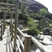 Imagen de Rutas de senderismo con perro en el Valle del Jerte: gargantas, cerezos y castaños
