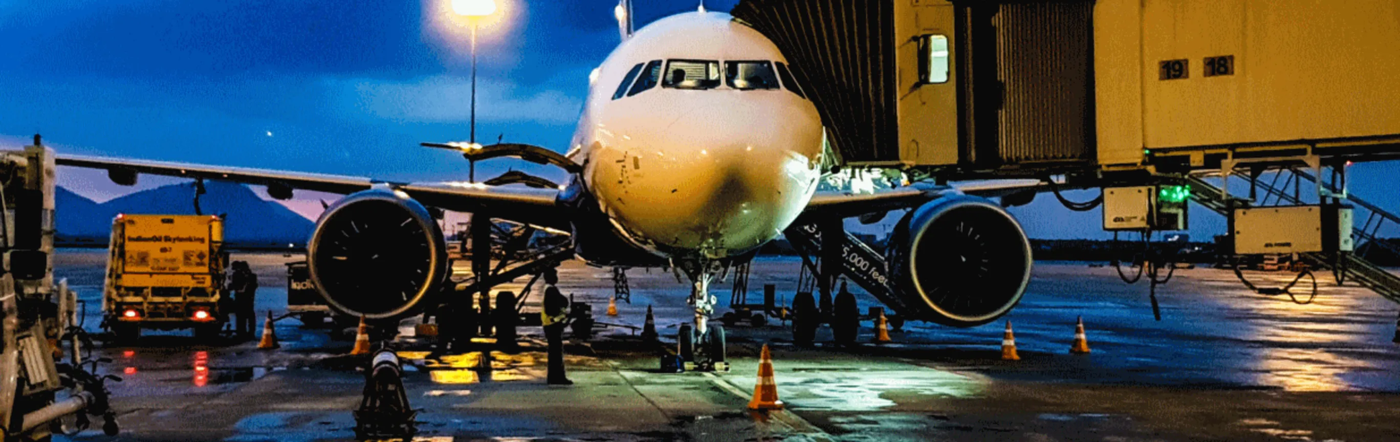 Imagen de Viajar en avión con mascotas
