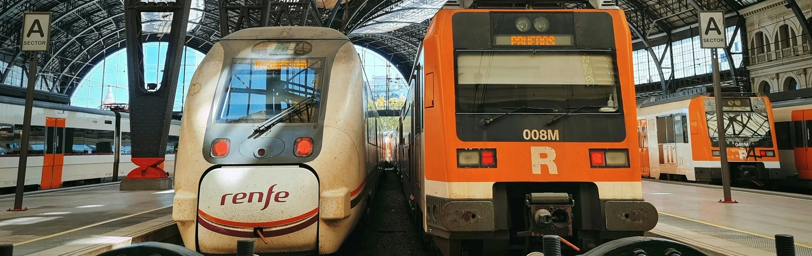 Imagen de Viajar en tren con mascotas en RENFE