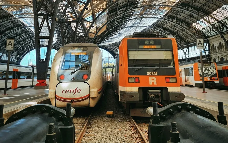 Imagen de Viajar en tren con mascotas en RENFE