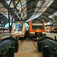 Imagen de Viajar en tren con mascotas en RENFE